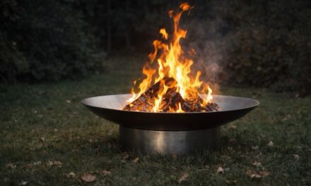 De mooiste vuurschalen van 2026: trends en inspiratie